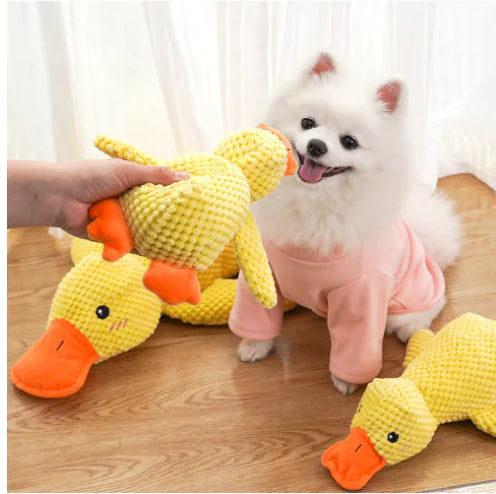 Calming Duck Toy kuppan